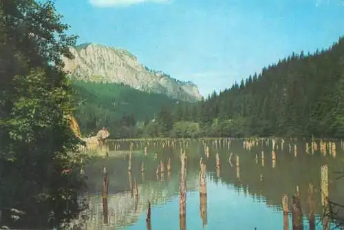 Romania Lacul Rosu