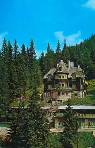 Romania vila la Lacul Rosu