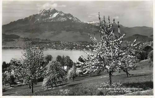 Switzerland Fruhling am Vierwaldstattersee Luzern mit Pilatus
