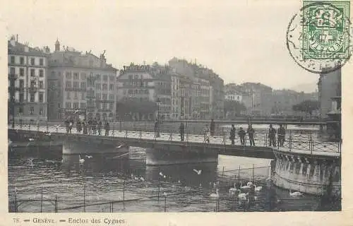 Suisse cpa Genève Enclos des Cygnes