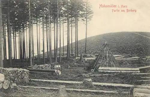 AK Germany Hahnenklee Harz
