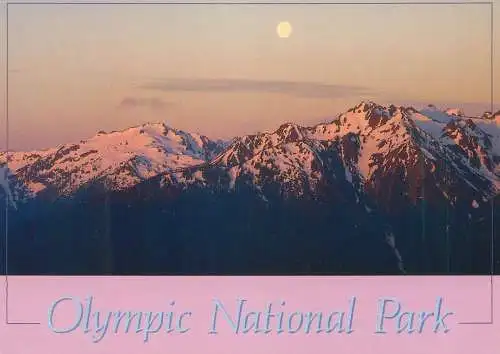 United States Washington Olympic National park