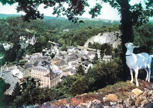 Belgium Durbuy panoramic cityscape and goat