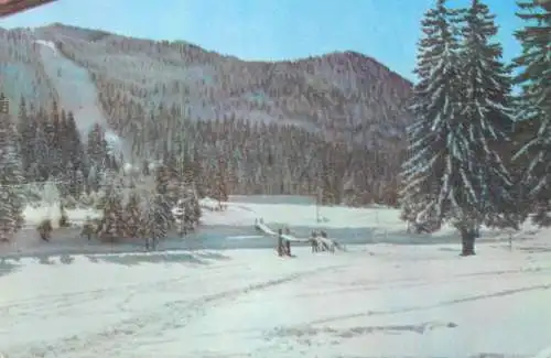 Romania Poiana Brasov peisaj de iarna