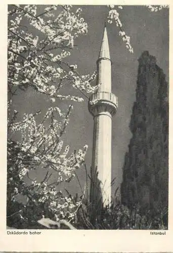 Turkey Istanbul Uskudarda bahar minaret