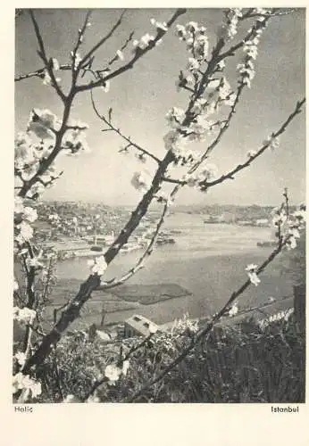 Turkey Istanbul Halic