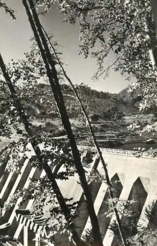 Romania barajul Firiza