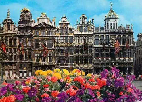 Belgium Bruxelles Grand Place