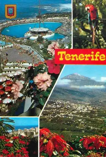 Spain Tenerife different aspects