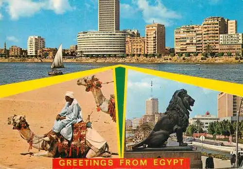 Egypt greetings camel lion statue