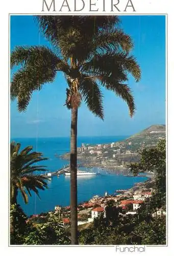 Portugal Madeira Funchal