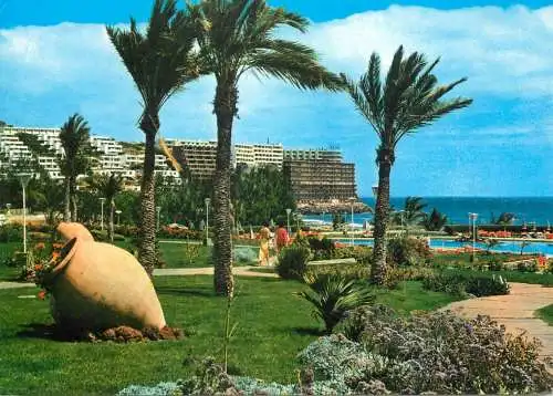 Spain Gran Canaria Playa del Ingles palm trees