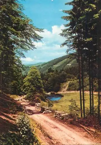 Germany Sauerland landscape