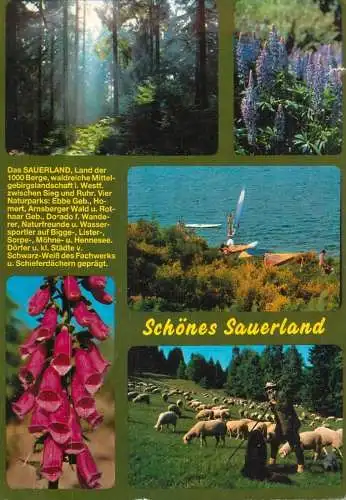 Germany Sauerland flora and fauna
