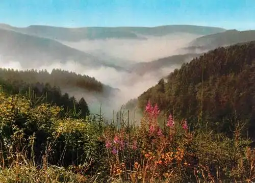 Germany Sauerland landscape