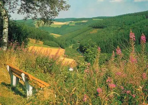 Germany Sauerland landscape