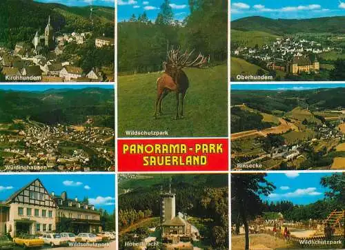 Germany Sauerland fauna