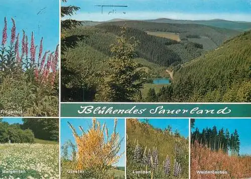 Germany Sauerland