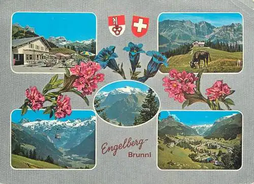 Switzerland Engelberg Brunni multi view & floral motif