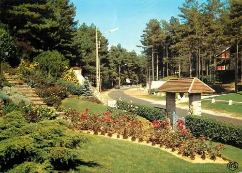France Hardelot-Plage (Pas de Calais) une allee dans le pins