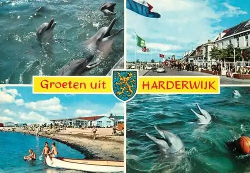 Netherlands Groeten uit Harderwijk several views
