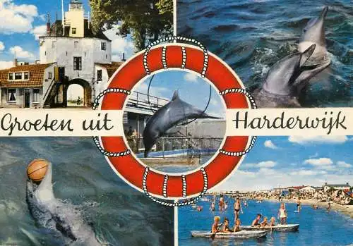 Netherlands Groeten uit Harderwijk multi view