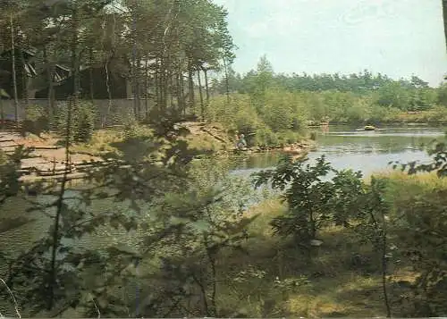 Netherlands "Het Vennenbos" picturesque scenery
