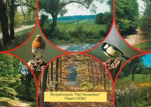 Netherlands Bungalowpark "Het Vennenbos" van Sporthuis Centrum birds multi view