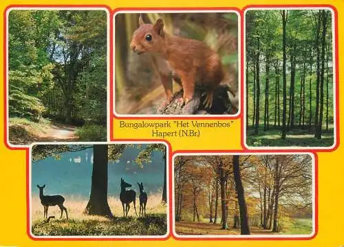 Netherlands Bungalowpark "Het Vennenbos" van Sporthuis Centrum animal types and scenes multi view