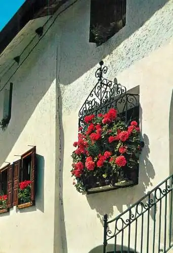 Switzerland St. Moritz Blumenfenster