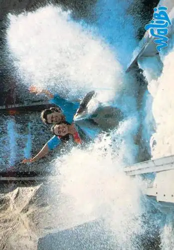 Belgium Walibi water sport