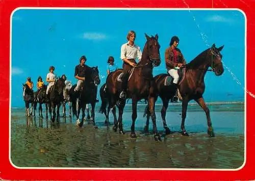 Horse ride on the beach tourist types and scenes