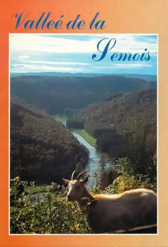 Belgium Vallee de la Semois vue generale and mountain goat