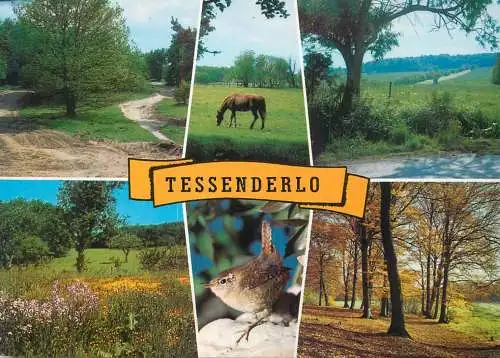 Belgium Tessenderlo