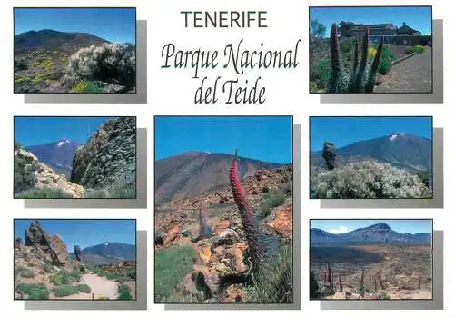 Spain Tenerife