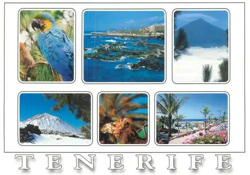 Spain Tenerife
