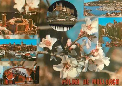 Spain Palma de Mallorca