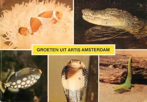 Netherlands Amsterdam zoo animals