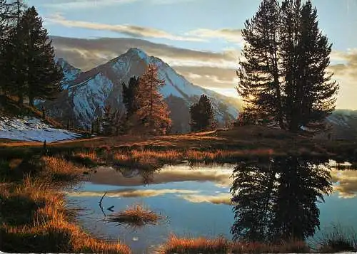 Switzerland Abendstimmung auf Alp da Munt mit Piz Daint Il Furon Ofenpassgebiet