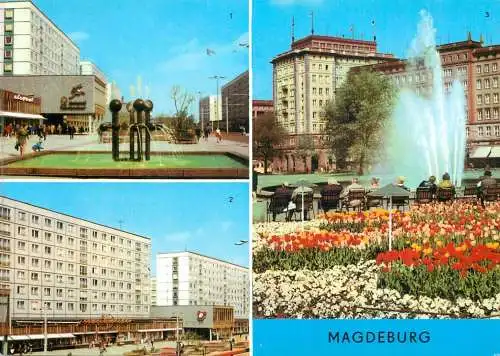 Germany Magdeburg fountain flower bed