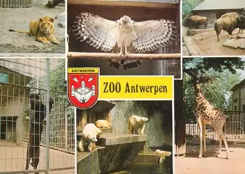 Belgium Antwerp zoo