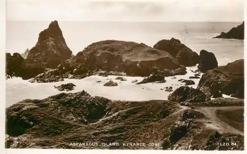 United Kingdom Scotland Asparagus Island Kynance Cove