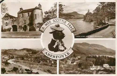United Kingdom Scotland Aberfoyle