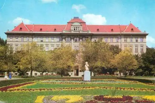 Romania Timisoara institut de medicina