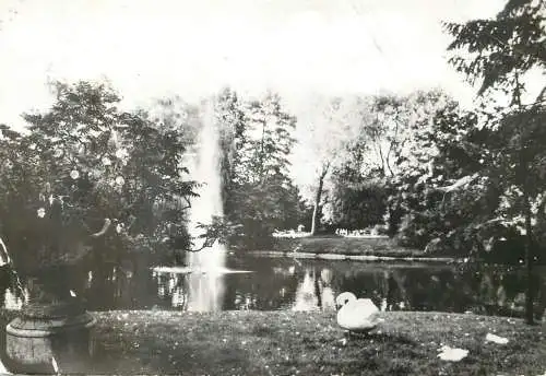Belgium Merksem park view pond swan