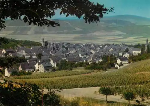 Germany Veldenz Krs Bernkastel/Wittlich (Mosel) panorama
