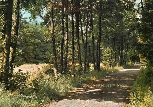 Belgium Erperheide Peer