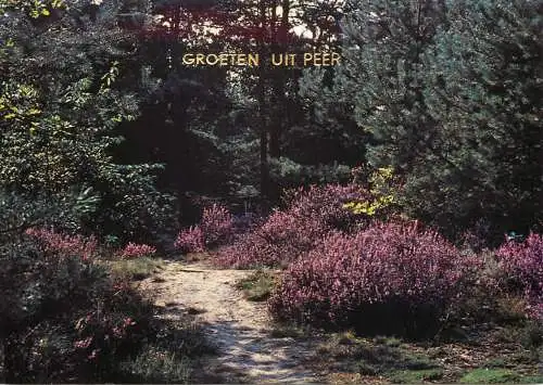 Belgium Erperheide Peer