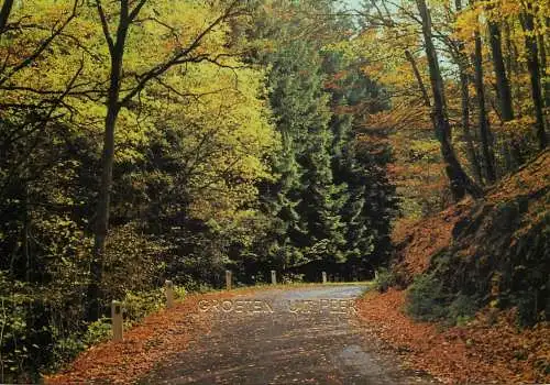 Belgium Erperheide Peer