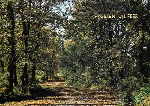 Belgium Erperheide Peer